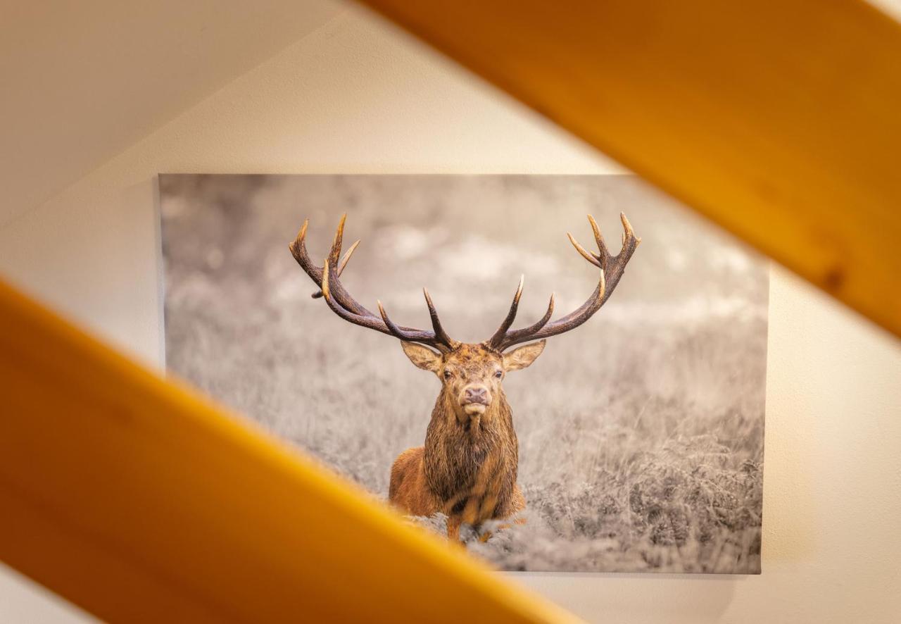 Apartmenthaus Matri By Pferd Auf Wolke Wald am Arlberg Extérieur photo